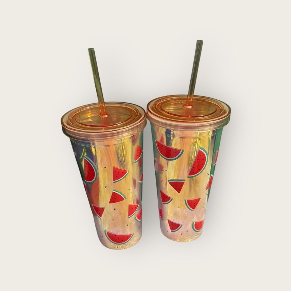 NEW Set of 2 True Living Watermelon Tumblers – 23 oz Dollar General Brand